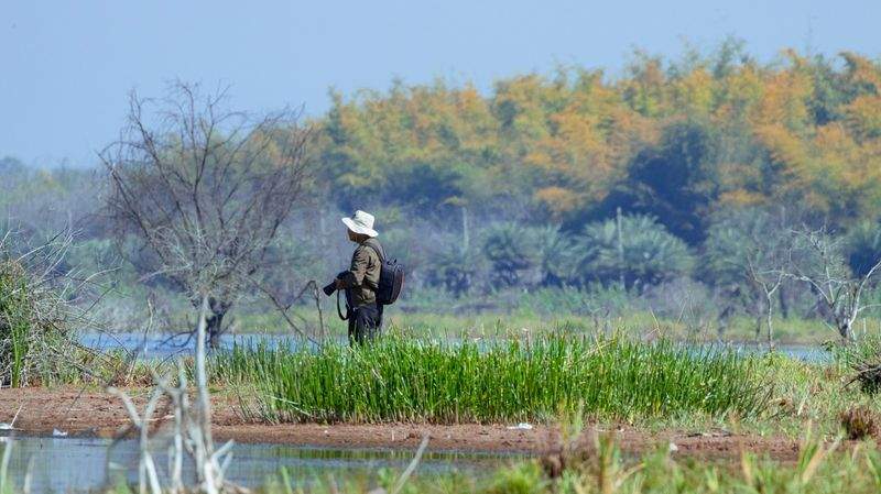 アートクラフト